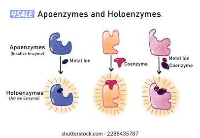 مدرس خبرة مواد جامعية (مواد طبية - بيولوجي وكيمياء )0