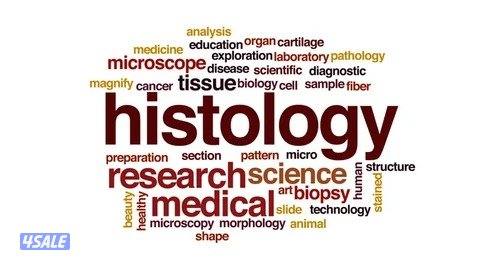 مدرس خبرة مواد جامعية (مواد طبية - بيولوجي وكيمياء )1