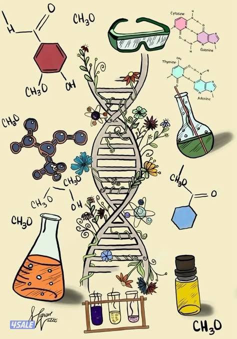 مدرس خبرة مواد جامعية (مواد طبية - بيولوجي وكيمياء )4