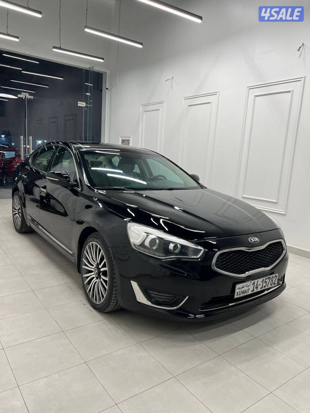 كادينزا2016 الفل1