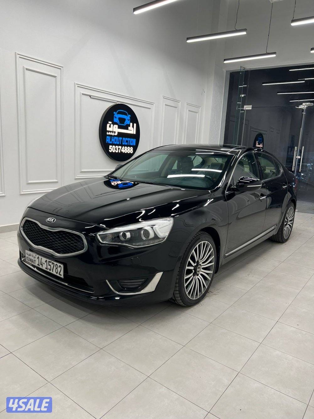 كادينزا2016 الفل0