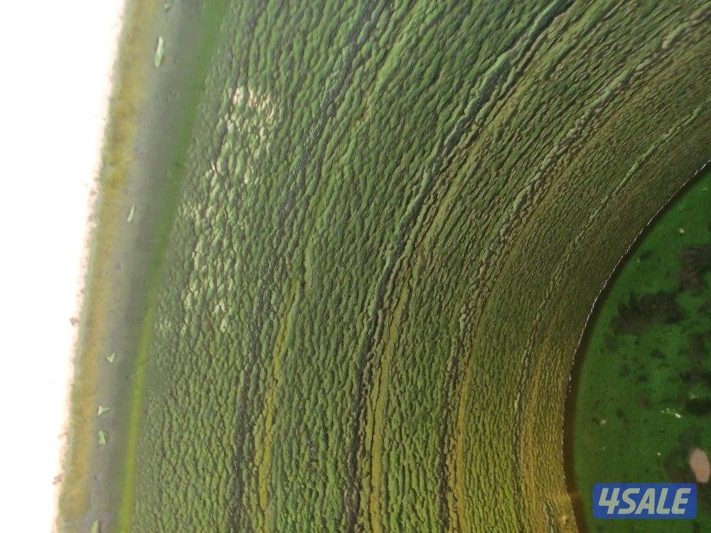 غسيل وتصليح التوانكي جميع المناطق بالكويت4