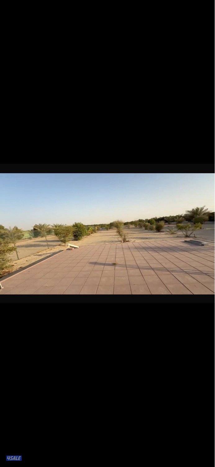 ايجار سنوي جاخور بالهجن2