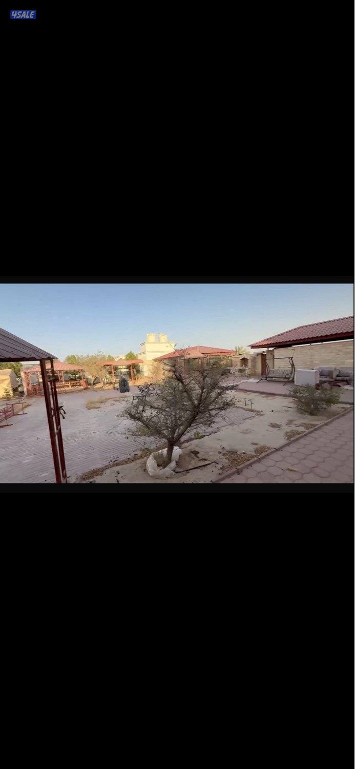 ايجار سنوي جاخور بالهجن1