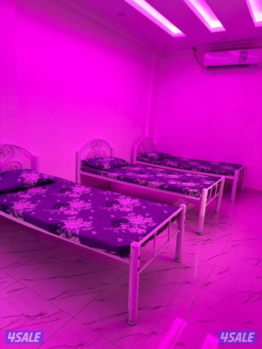 أستراحه الفهد تو أيجار يومي الهجن كبد4