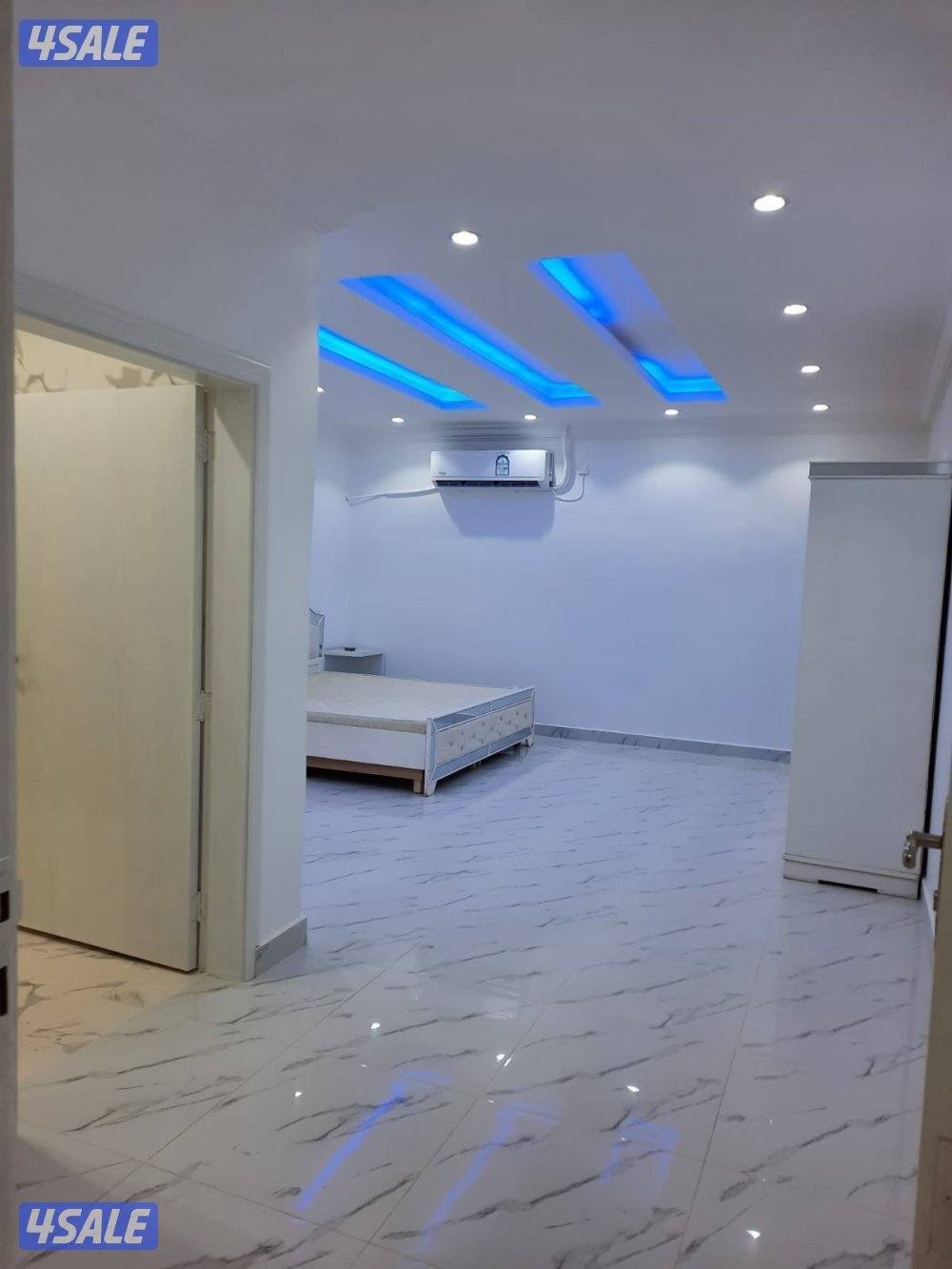 أستراحه الفهد تو أيجار يومي الهجن كبد6