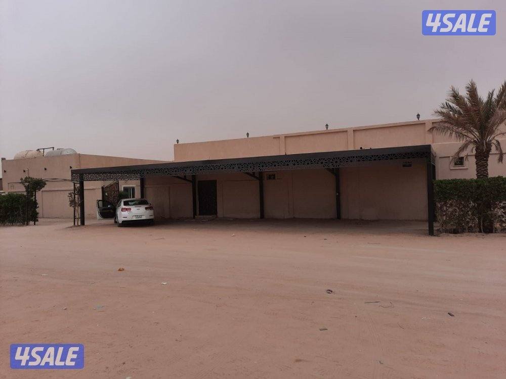 أستراحه الفهد تو أيجار يومي الهجن كبد9