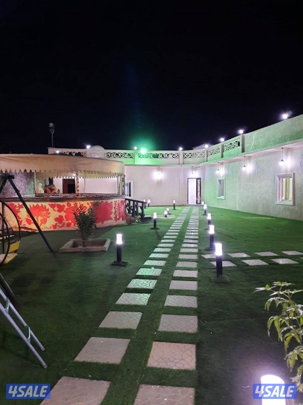 أستراحه الفهد تو أيجار يومي الهجن كبد10