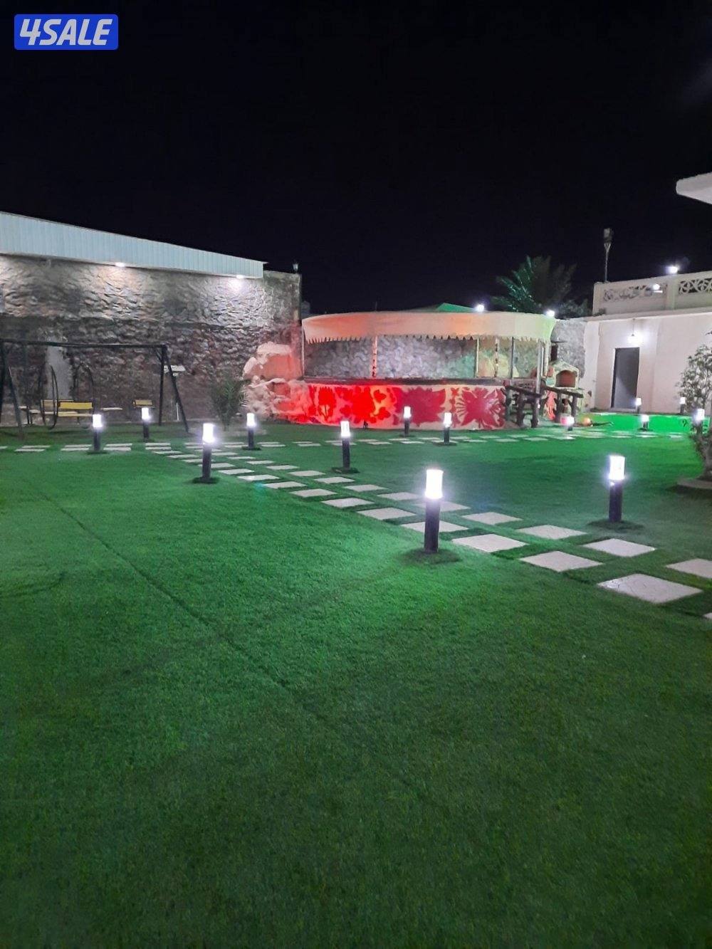 أستراحه الفهد تو أيجار يومي الهجن كبد11