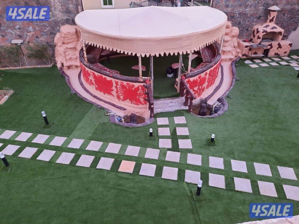 أستراحه الفهد تو أيجار يومي الهجن كبد12