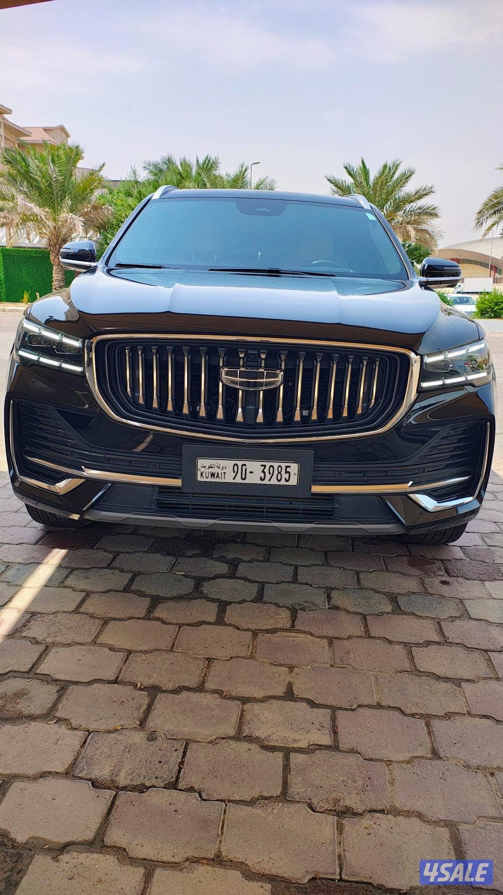 جيلي مونجارو0