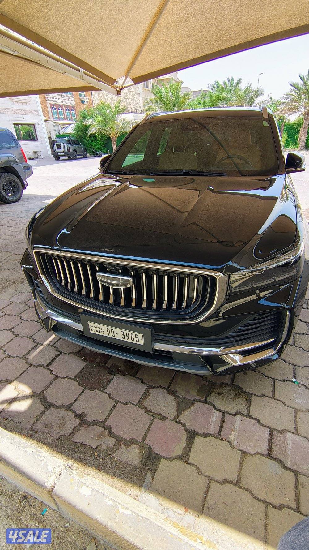 جيلي مونجارو1