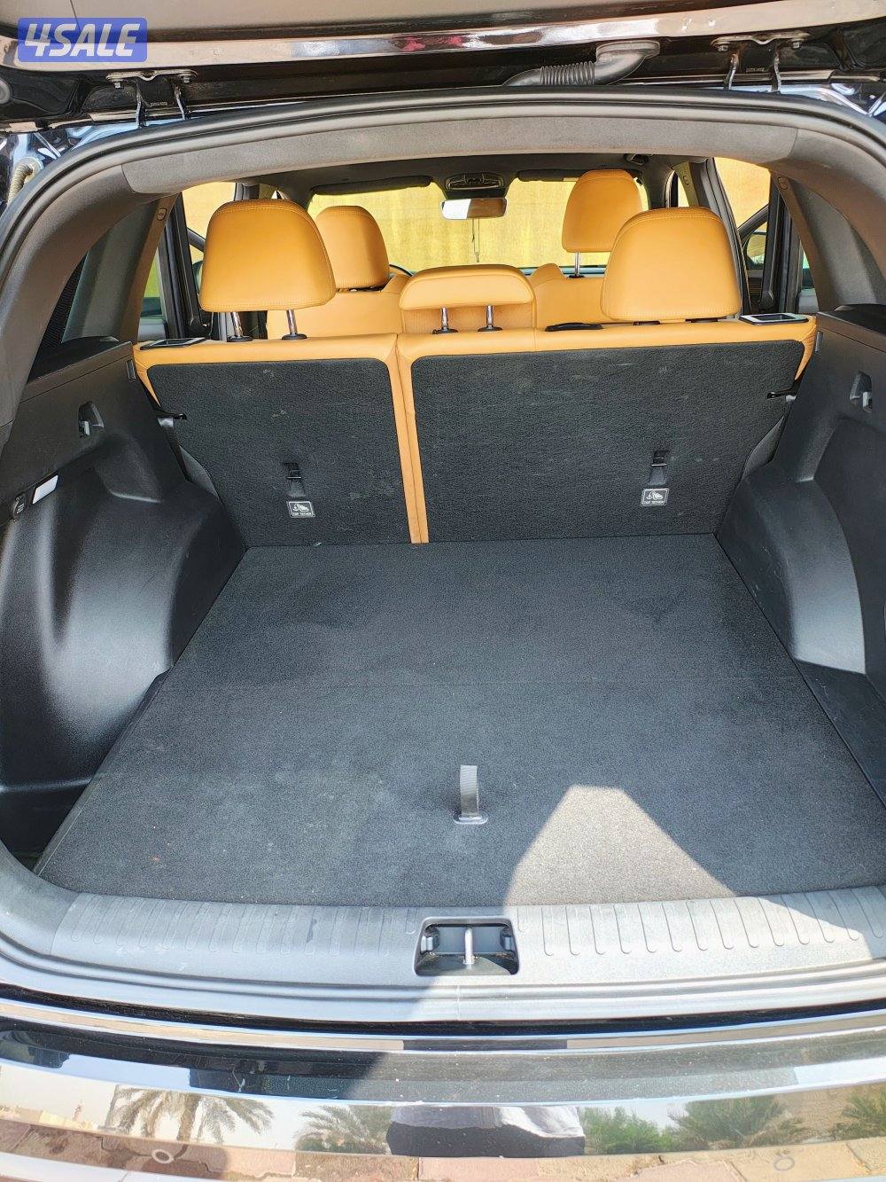 جيلي مونجارو12