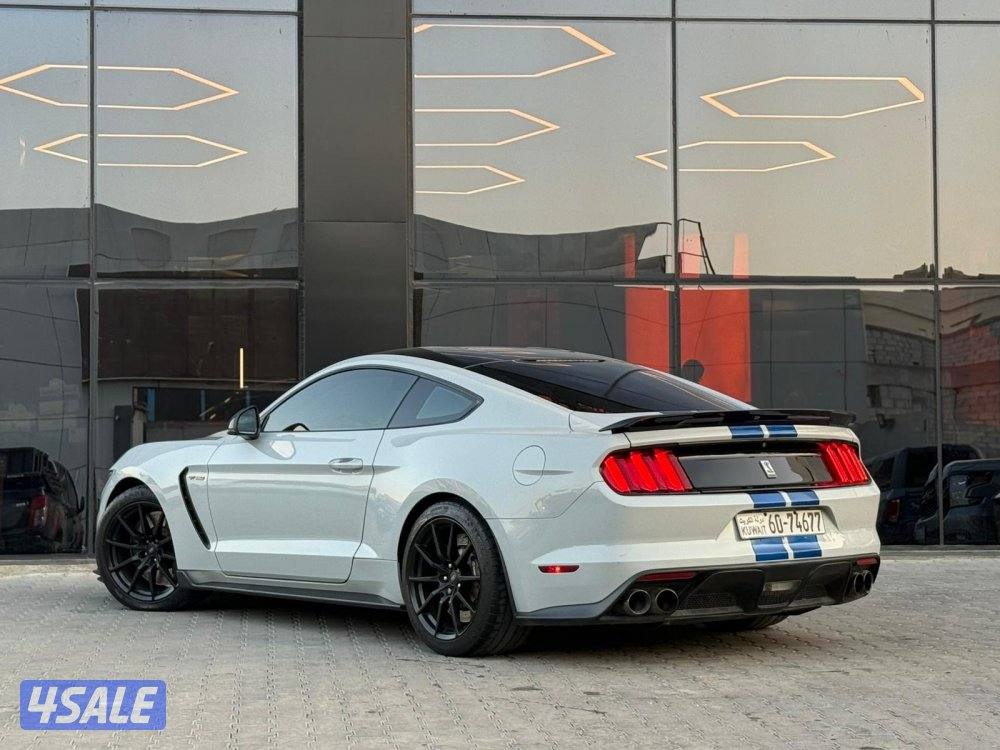 MUSTANG SHELBY GT350 _20173