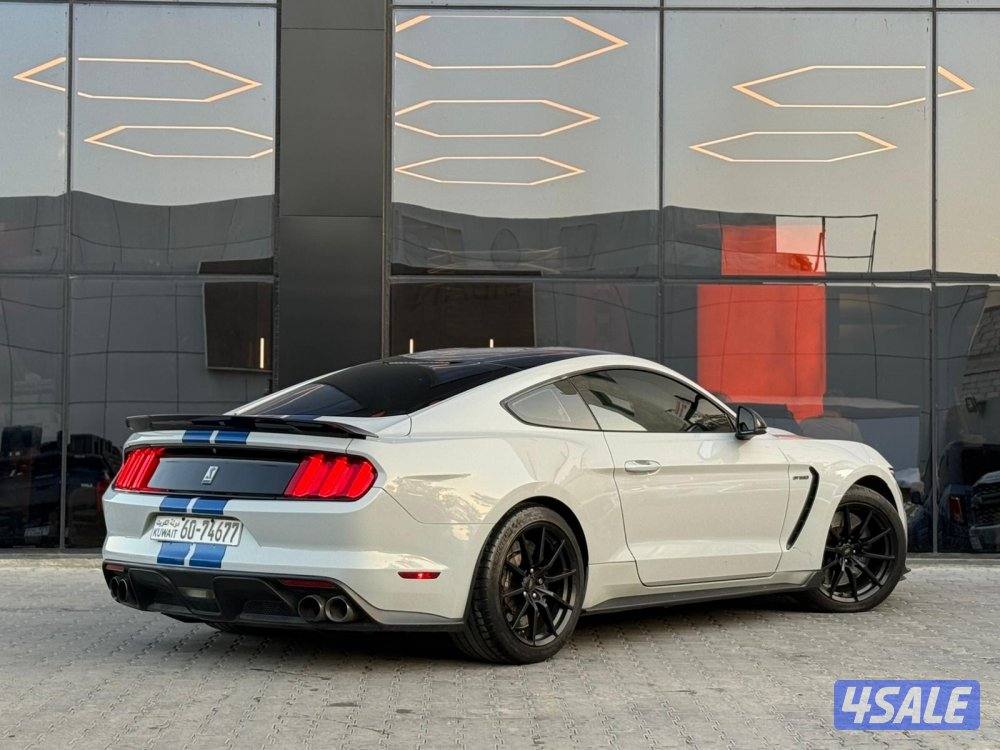 MUSTANG SHELBY GT350 _20174