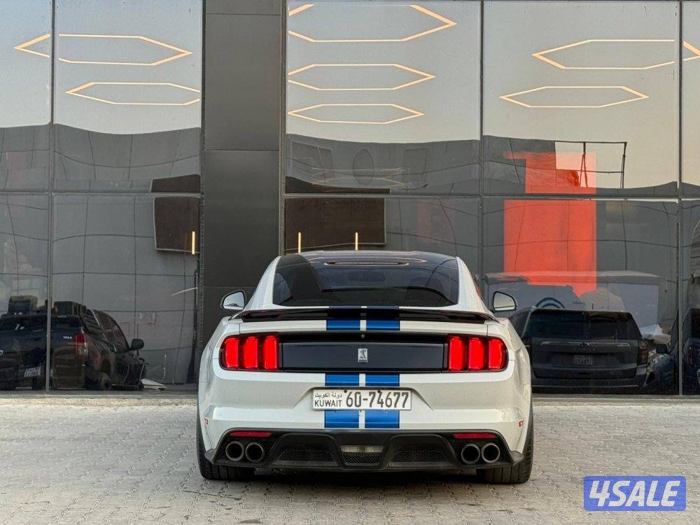 MUSTANG SHELBY GT350 _20175