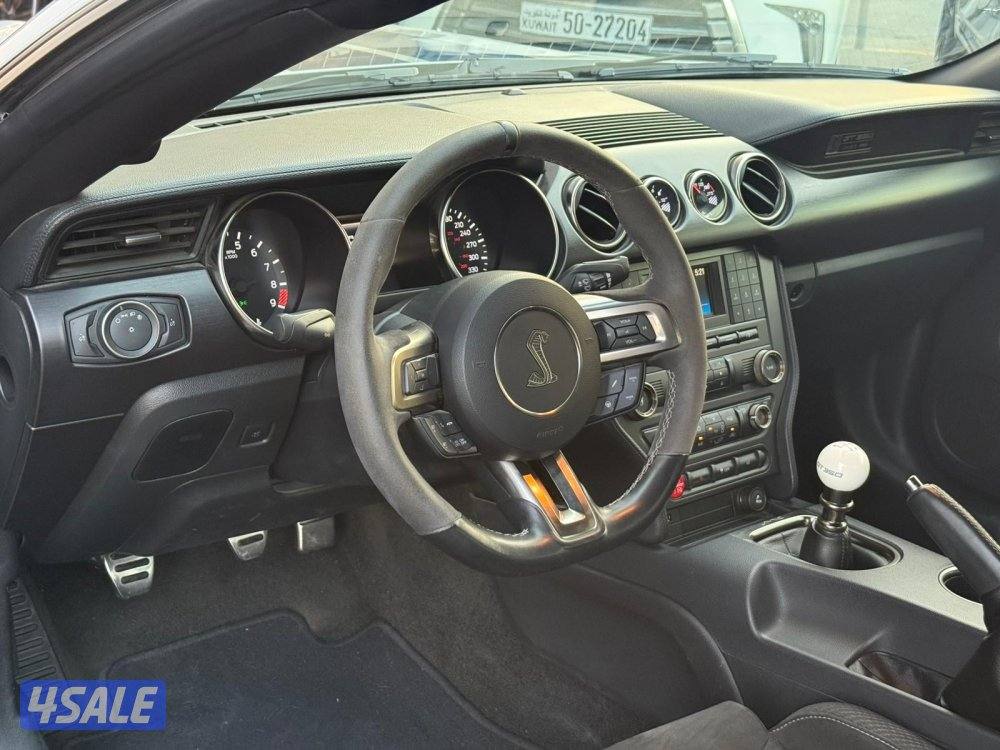 MUSTANG SHELBY GT350 _20176