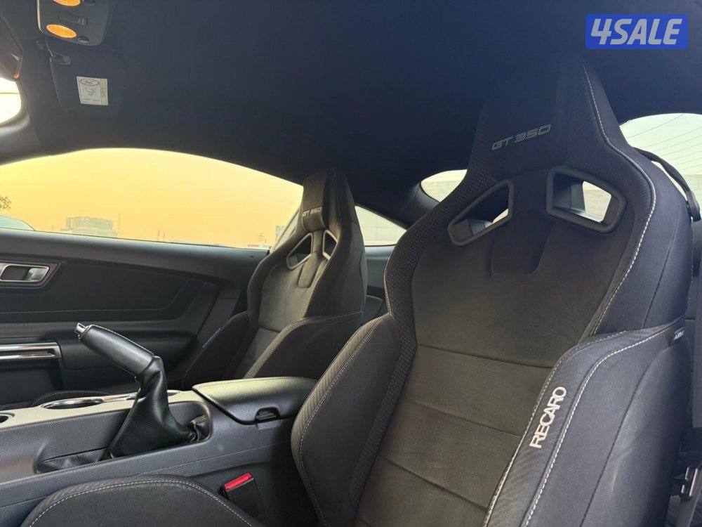 MUSTANG SHELBY GT350 _20179