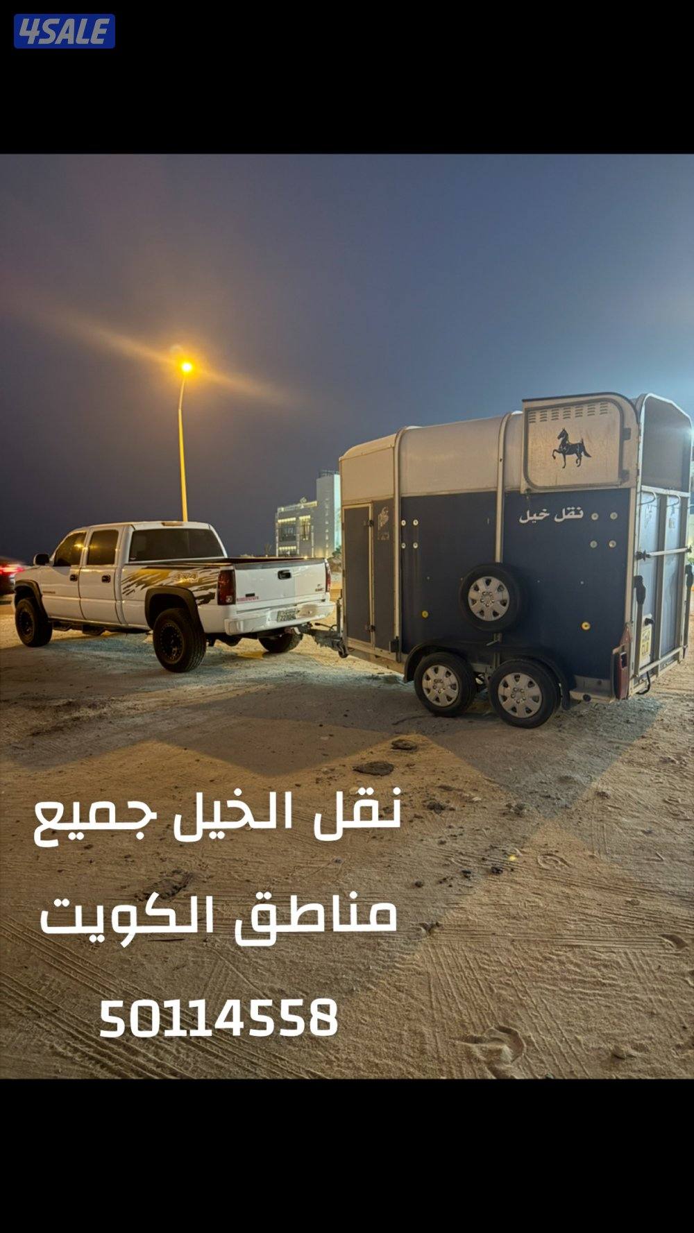 نقل خيل جميع مناطق الكويت عربانه إنجليزيه0