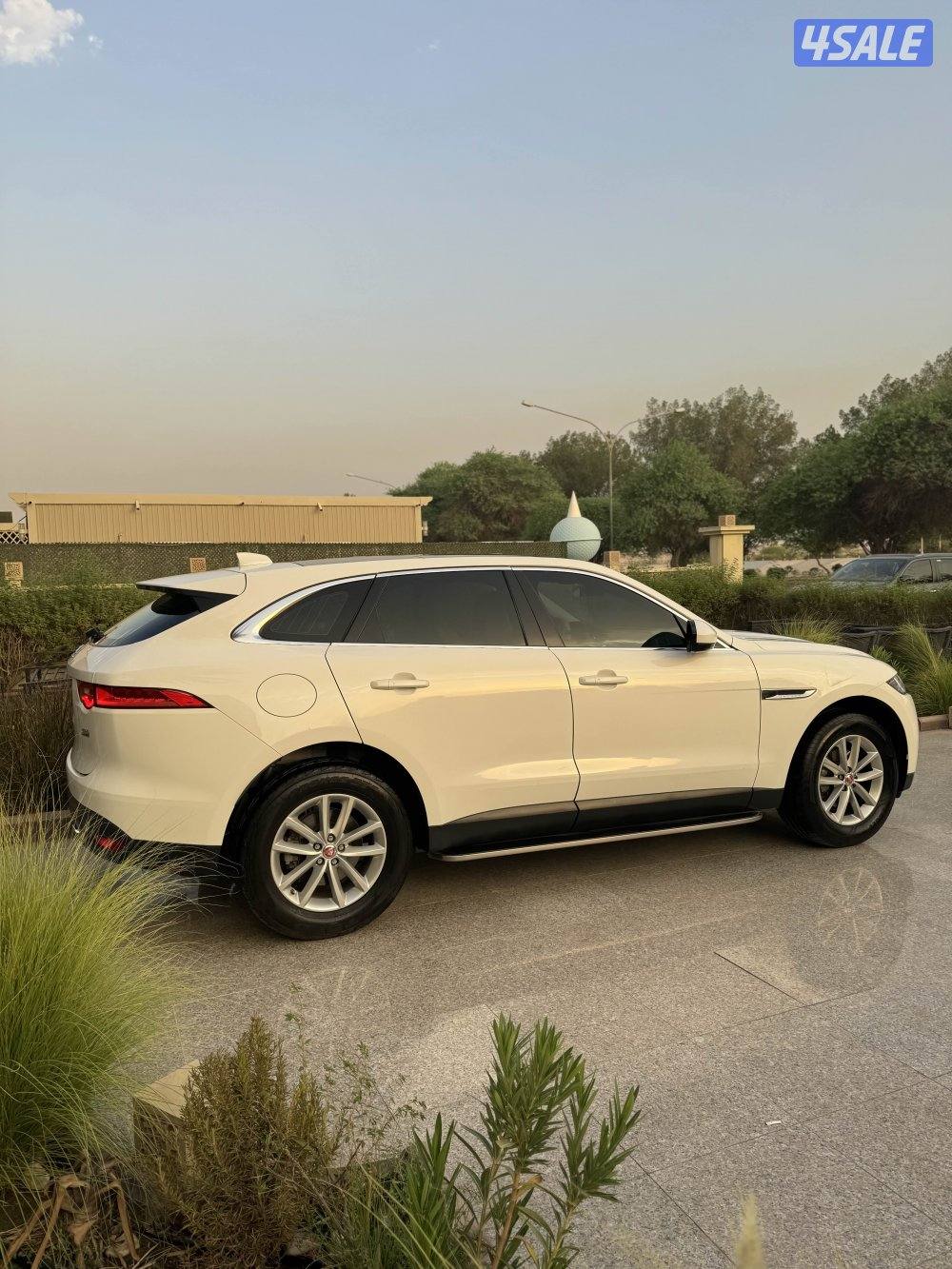 جاكوار عداد 729