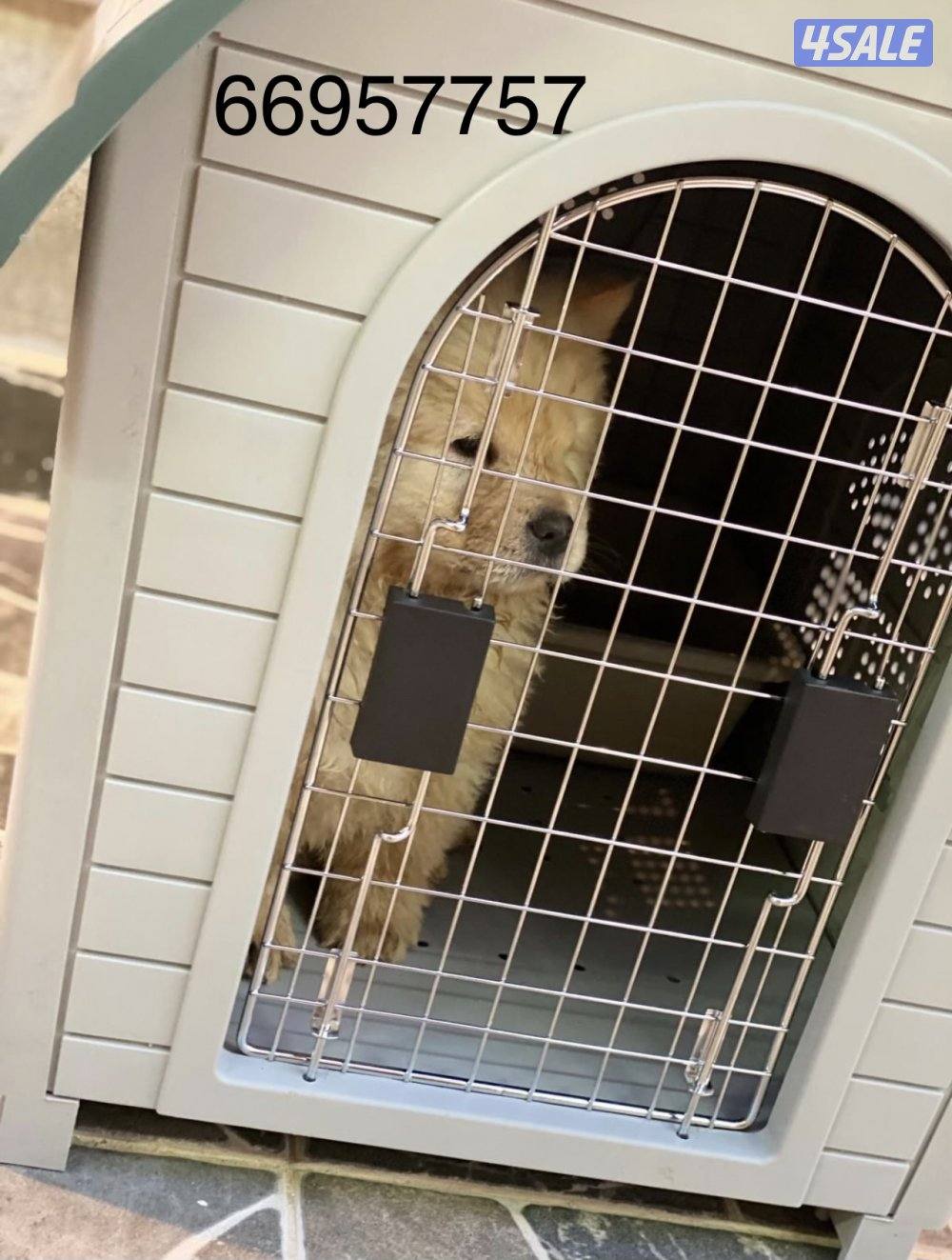 بيوت لحجم القطط وكلاب الزينه 🐶🐕🦺8