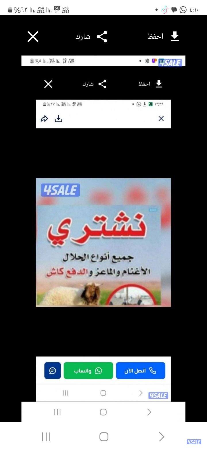 نشتري جميع انواع الحلال غنم ومعزة العدد مفتوح والدفع0