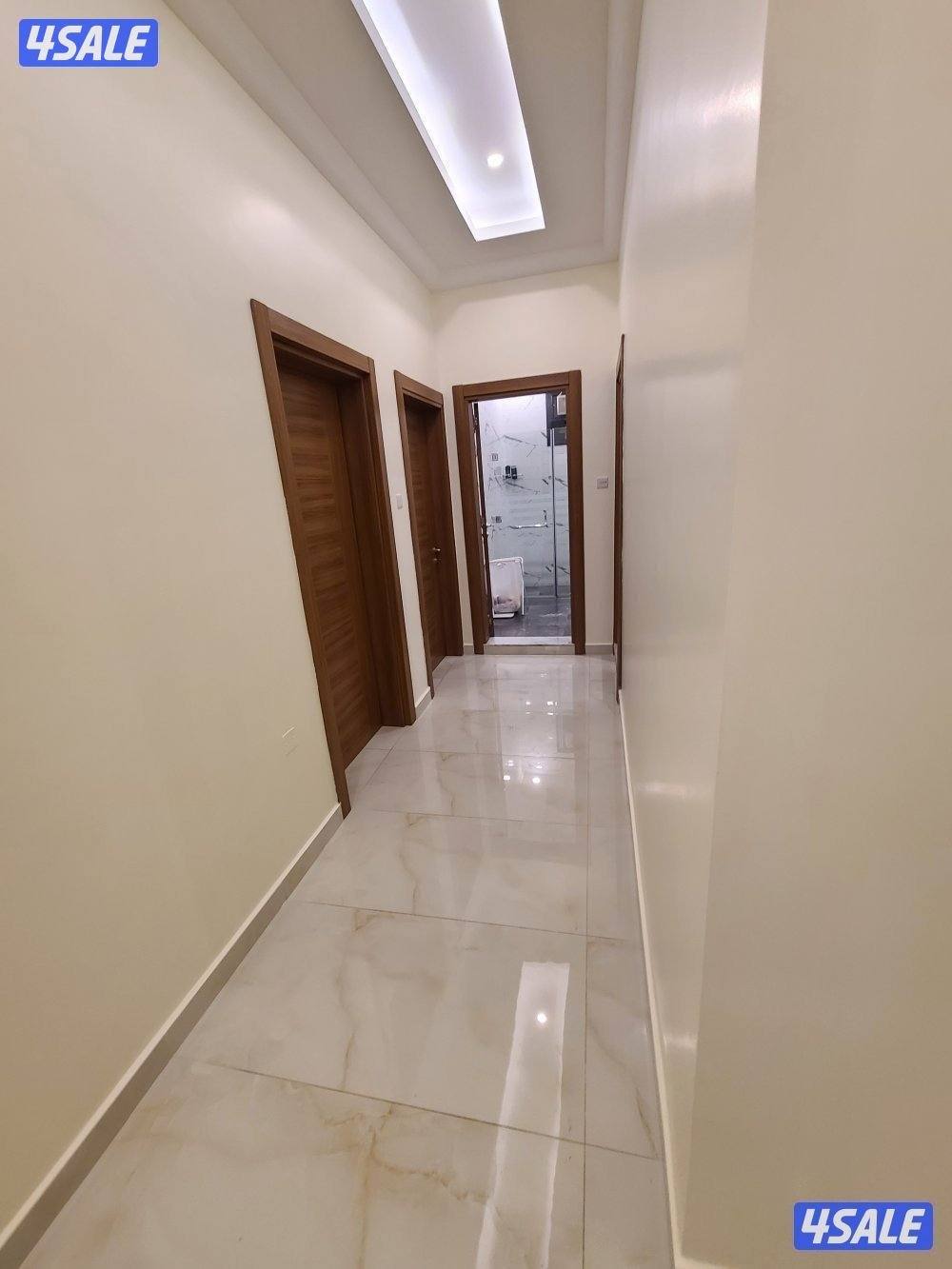 ####صباغ#اصباغ#صبغ#اصباغ#اصباغ#صبغ #اصباغ#اصباغ #اصباغ #اصباغ #صبغ2