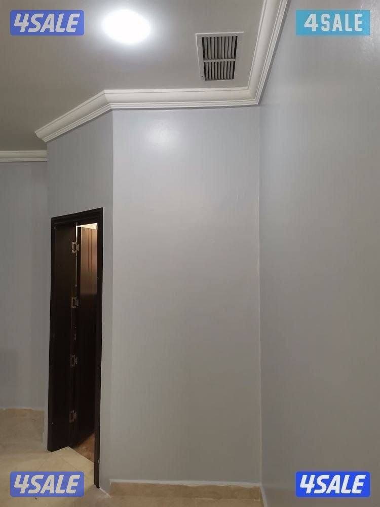 ####صباغ#اصباغ#صبغ#اصباغ#اصباغ#صبغ #اصباغ#اصباغ #اصباغ #اصباغ #صبغ12