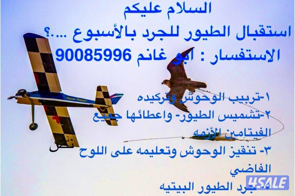 دعو طيور على الطياره0