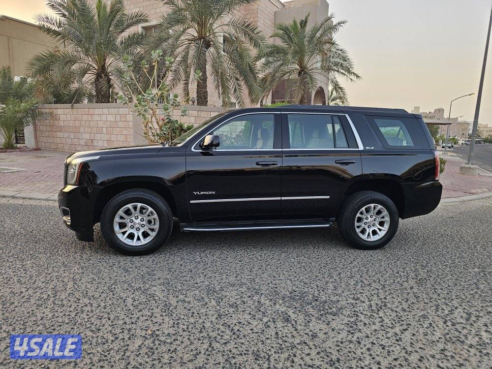 يوكن SLE بهبهاني بحالة الوكالة1