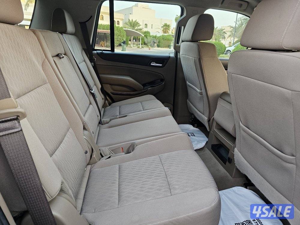 يوكن SLE بهبهاني بحالة الوكالة10