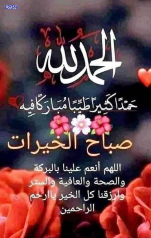 نقل مخيمات واغراض جميع مناطق الكويت العبدلي الوفره الخيران2