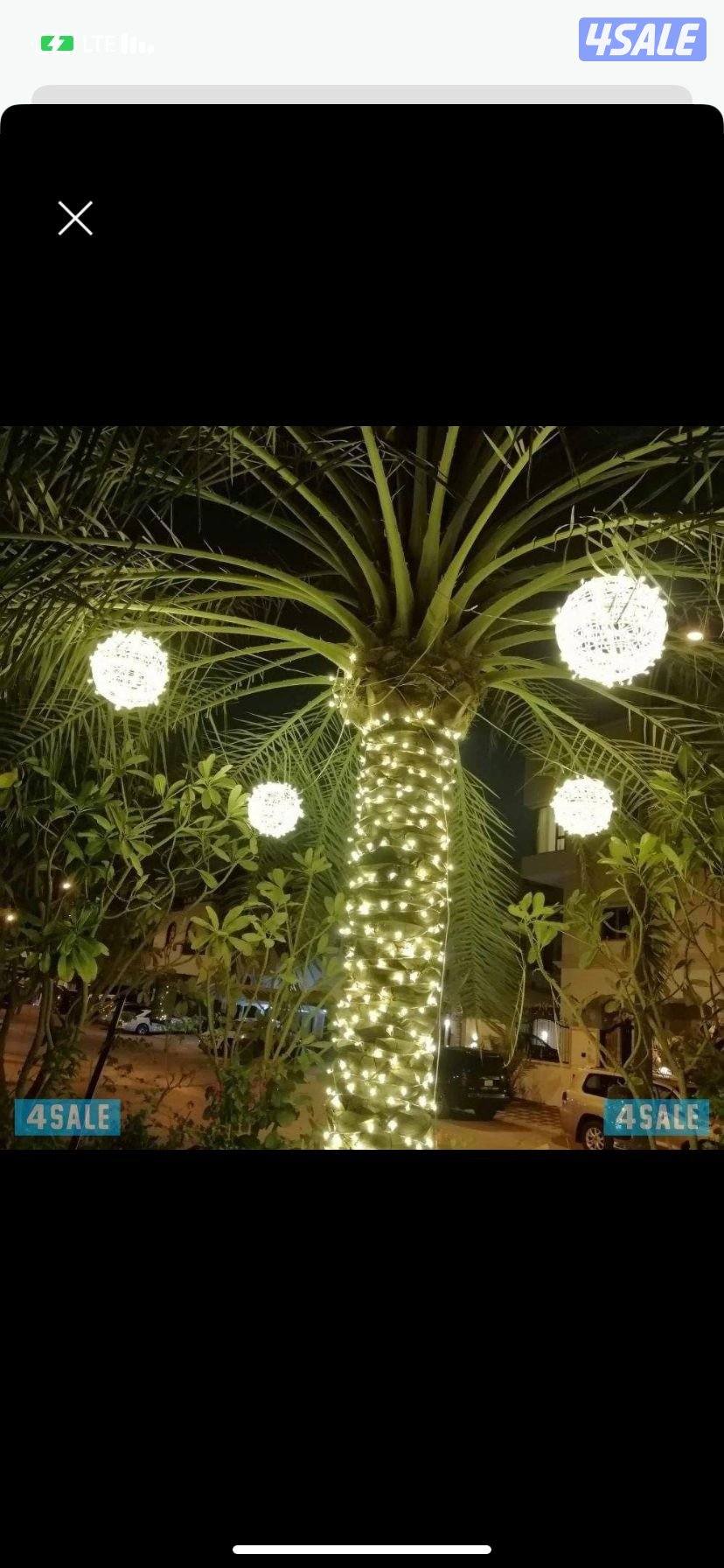 زينه افراح الكويت7