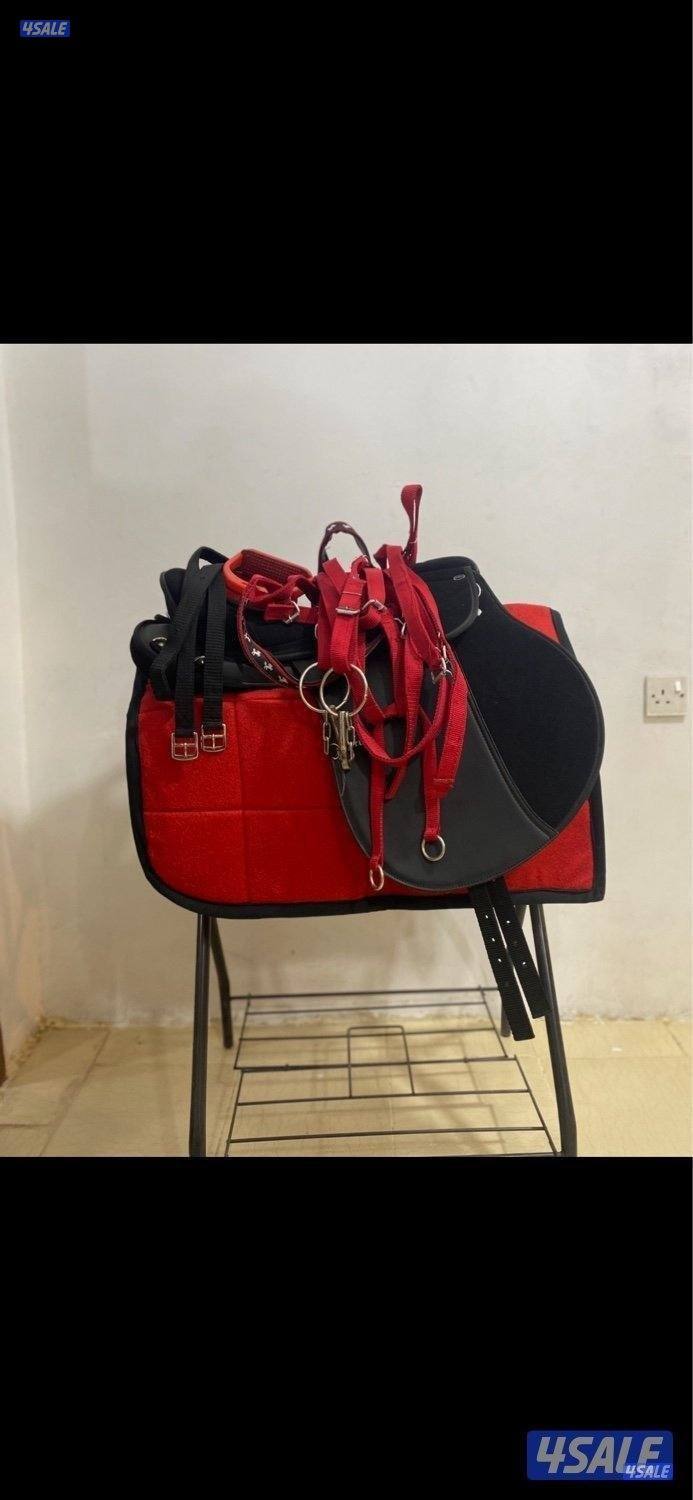 كل ما يحتاجه الخيل والفارس - متجر قيس في اسطبلات الجهراء 🐎8