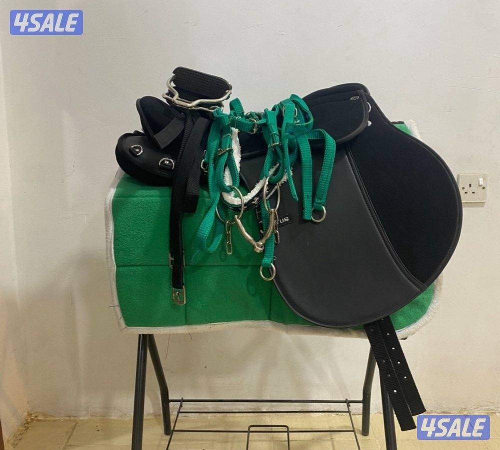 كل ما يحتاجه الخيل والفارس - متجر قيس في اسطبلات الجهراء 🐎10