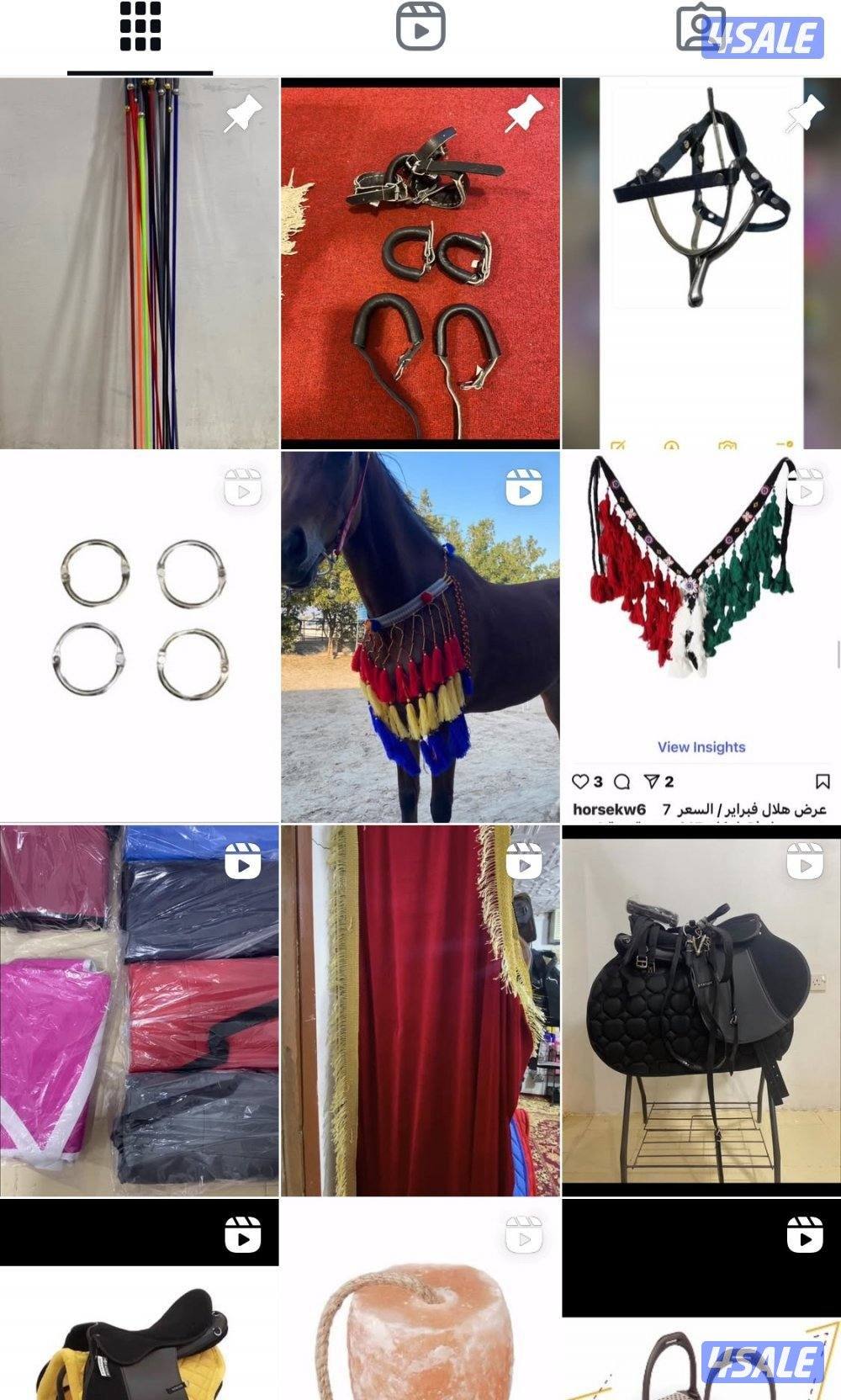 كل ما يحتاجه الخيل والفارس - متجر قيس في اسطبلات الجهراء 🐎13
