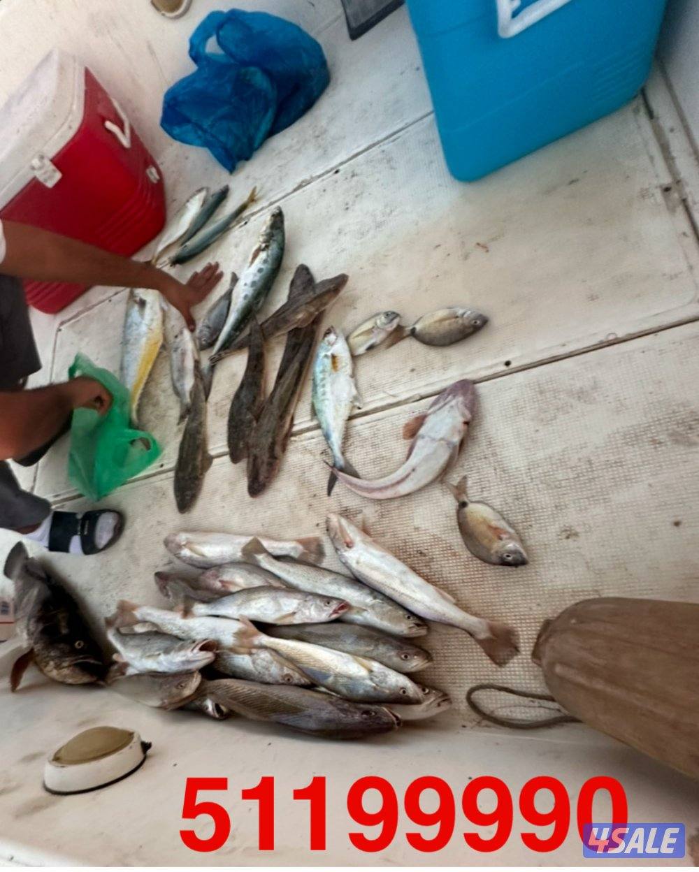 رحلات حداق ونزهه مع نوخذه كويتي شغل مرتب خيوط وسنانير وجق  ابواحمد3