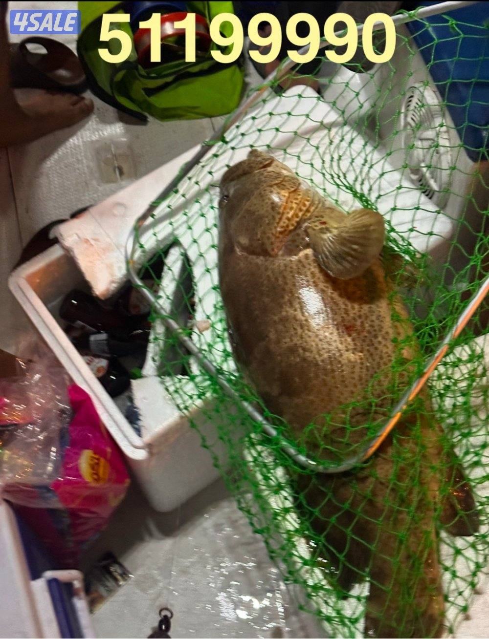 رحلات حداق ونزهه مع نوخذه كويتي شغل مرتب خيوط وسنانير وجق  ابواحمد4