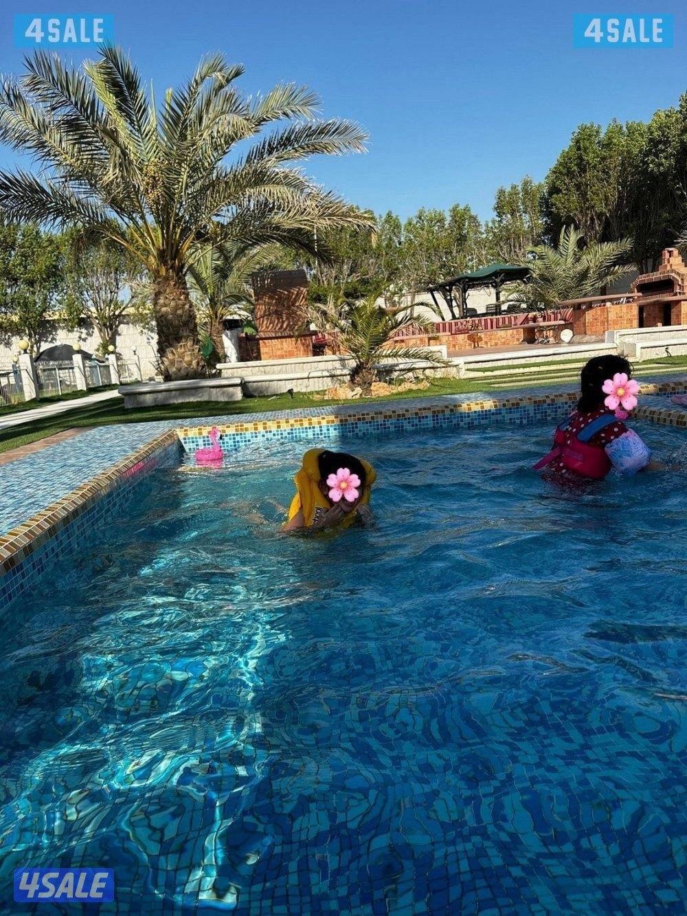 استراحة دار عز الهجن صوب جبد0