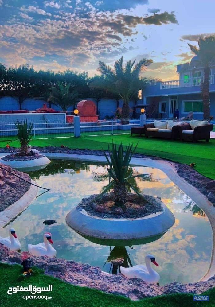 استراحة دار عز الهجن صوب جبد2