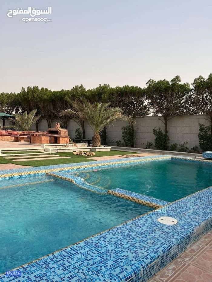 استراحة دار عز الهجن صوب جبد4