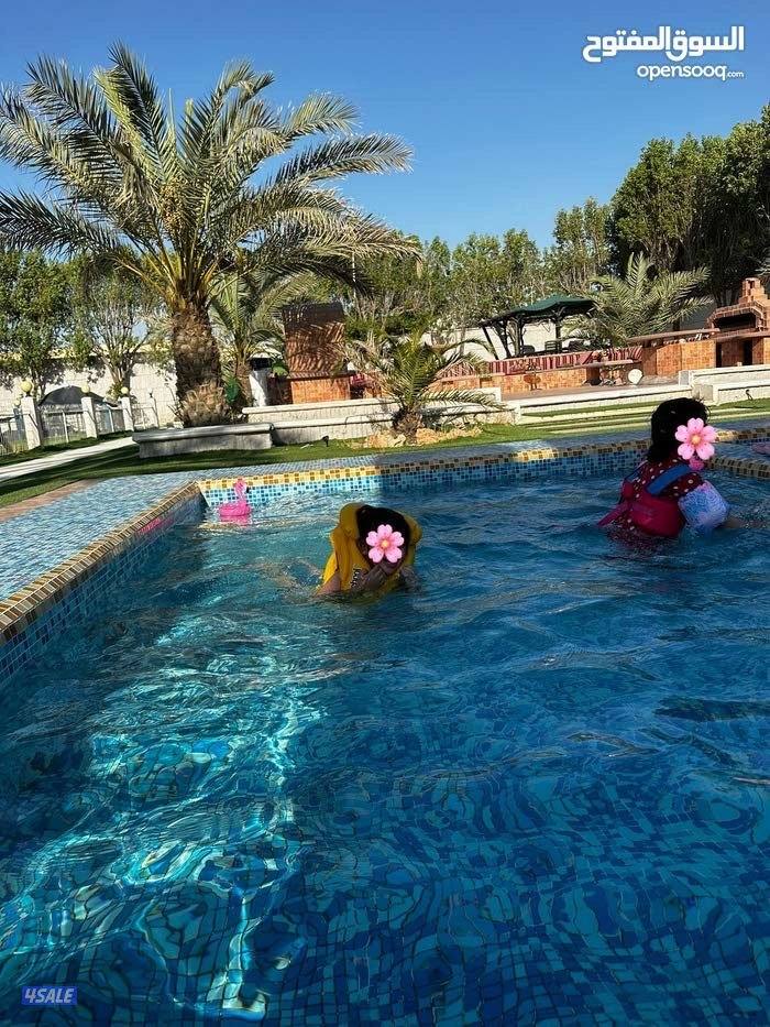 استراحة دار عز الهجن صوب جبد5