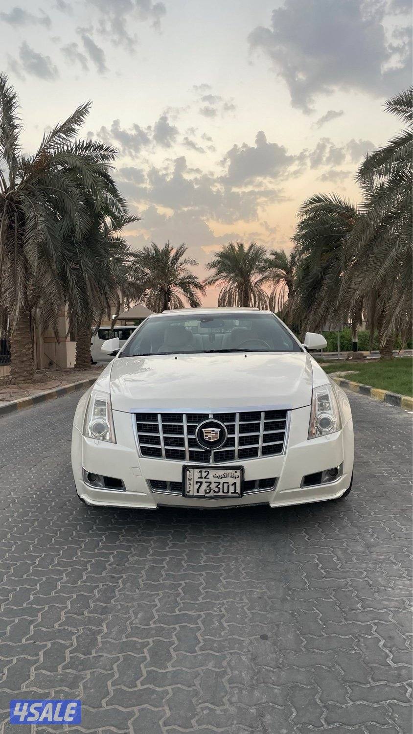 للمعاينة العارضية الحرفية2