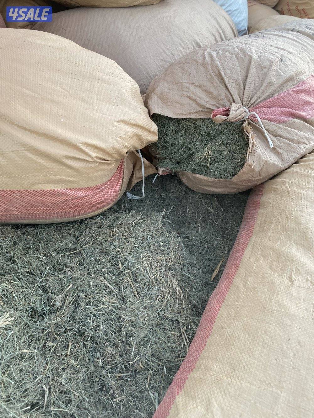 خياش علف ثيل + بذور برسيم1