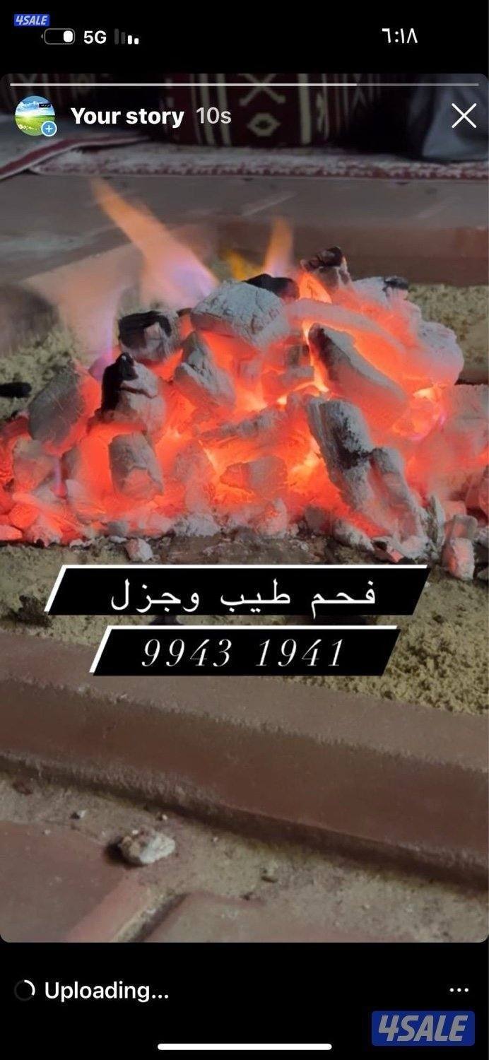 للبيع فحم بوبقرة طبيعي شرط ممتاز1