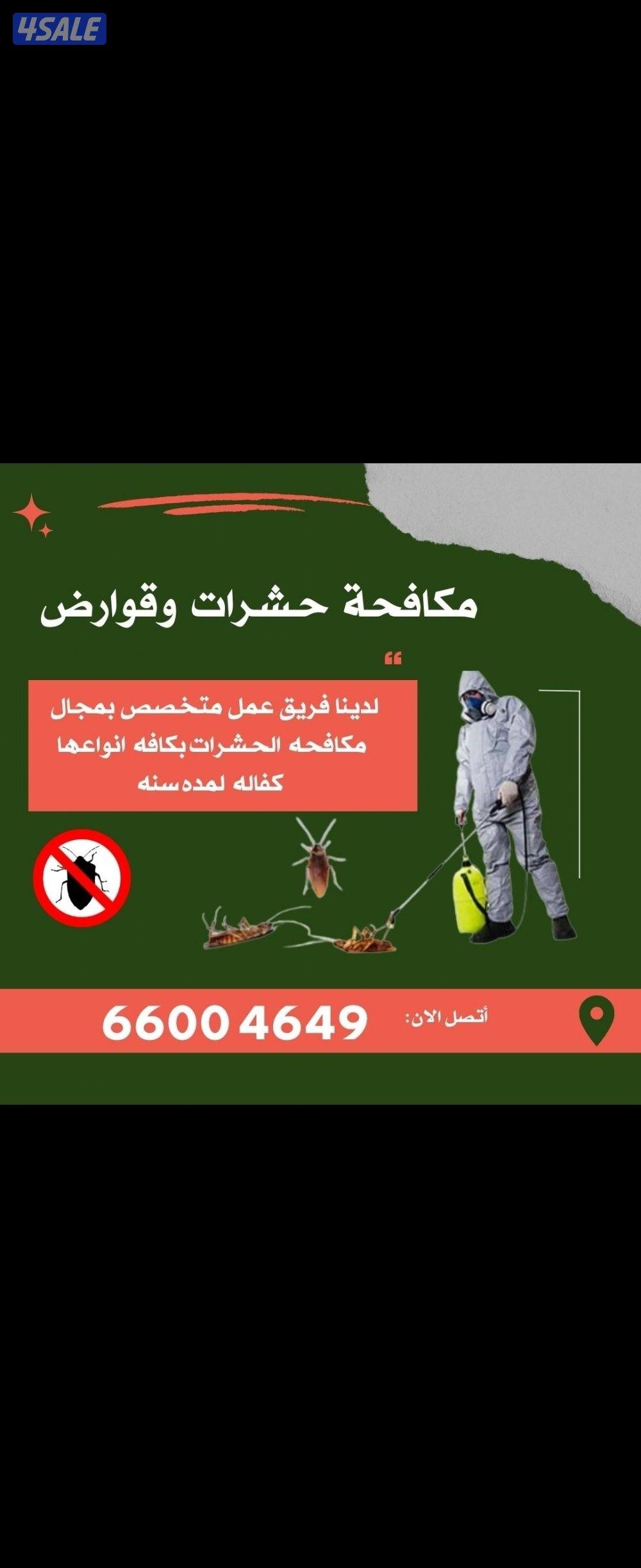 @مكافحة@حشرات@رش@صراصير@زهيوي@عجينة@جل@مطبخ@فئران#مكافحة#حشرات2