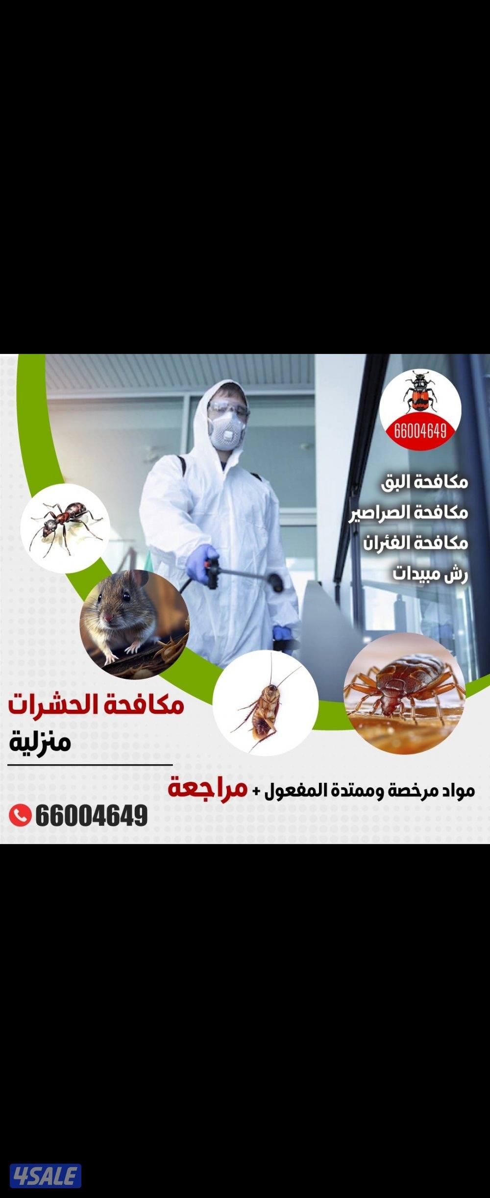 @مكافحة@حشرات@رش@صراصير@زهيوي@عجينة@جل@مطبخ@فئران#مكافحة#حشرات4