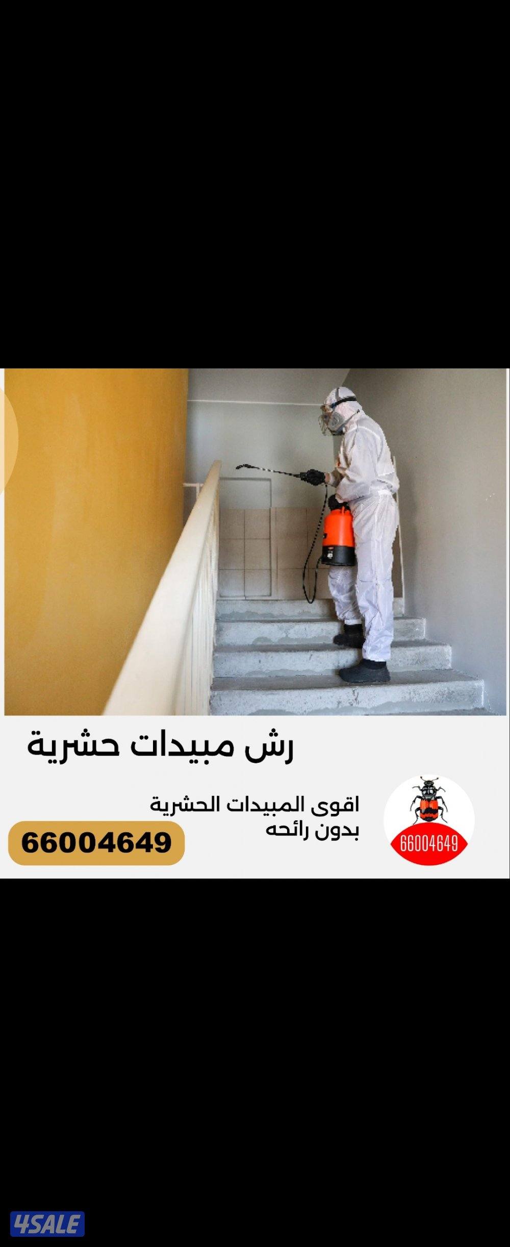 @مكافحة@حشرات@رش@صراصير@زهيوي@عجينة@جل@مطبخ@فئران#مكافحة#حشرات6