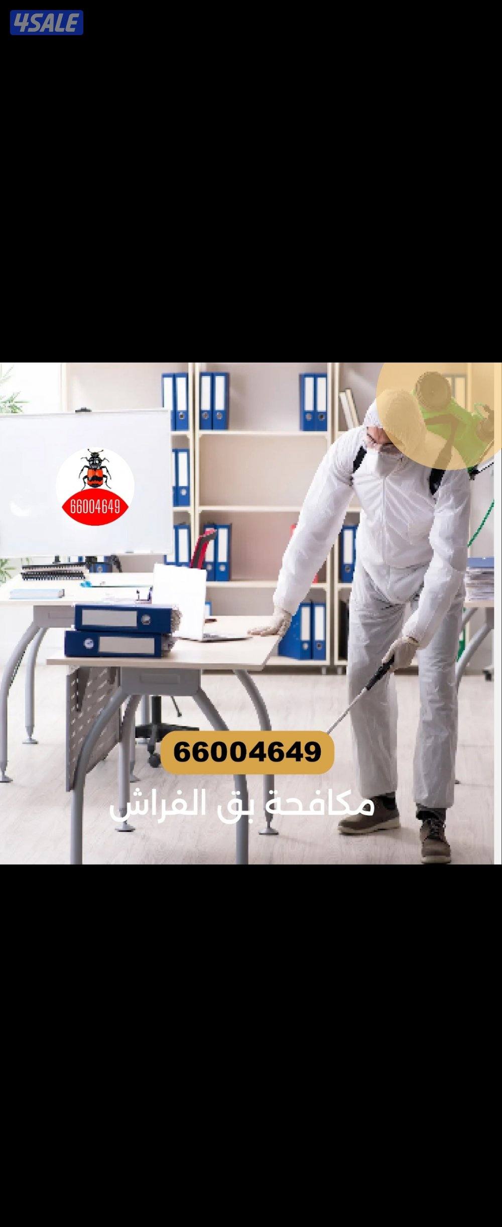 رش حشرات#رش#حشرات#حشرات#رش#الحشرات#رش#حشرات حشرات الحشرات1