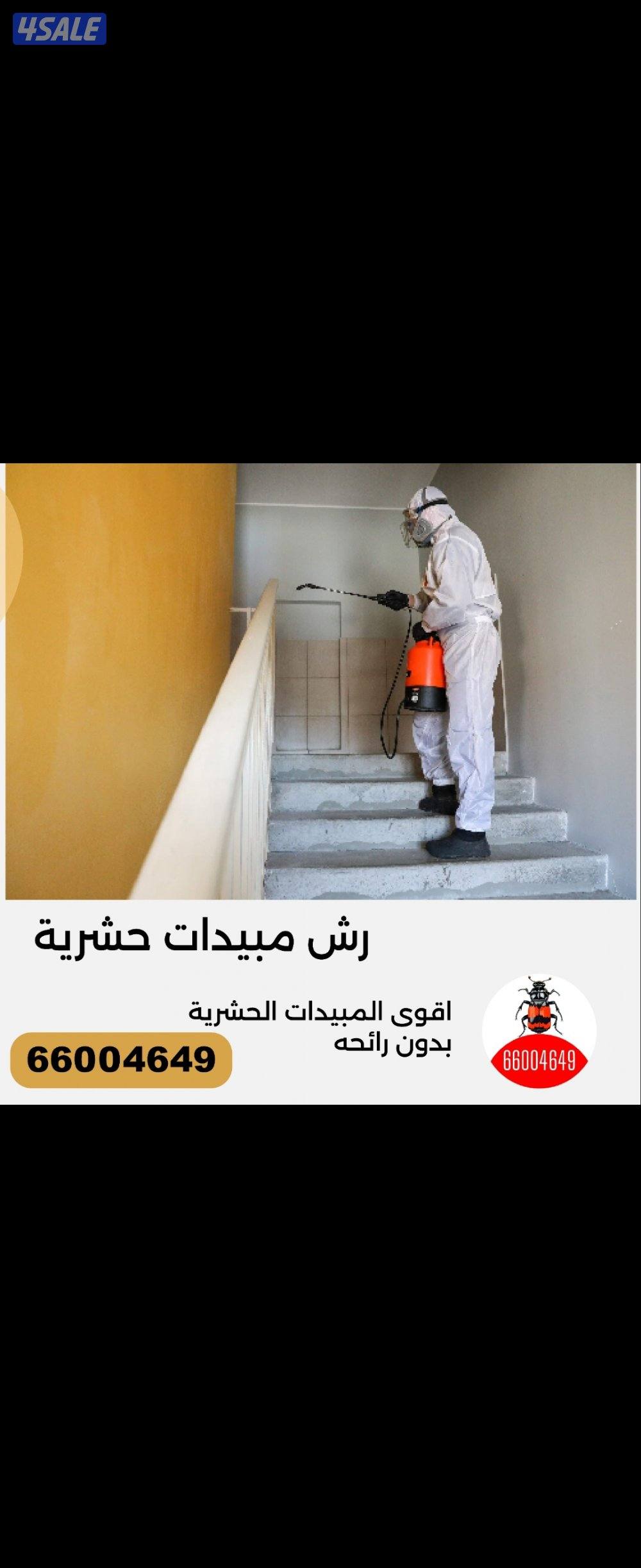 رش حشرات#رش#حشرات#حشرات#رش#الحشرات#رش#حشرات حشرات الحشرات2